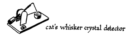 Cat Wisker Detector